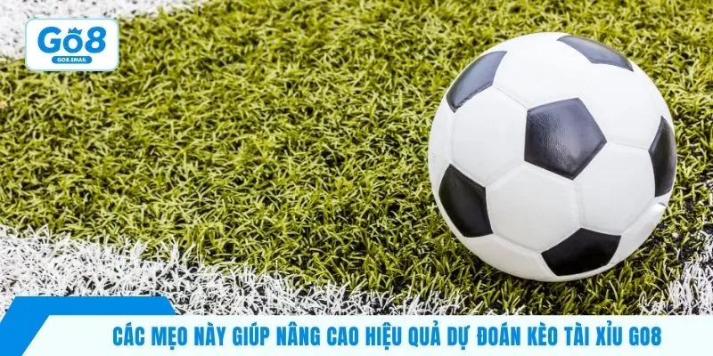 Các mẹo này giúp nâng cao hiệu quả dự đoán kèo tài xỉu Go8