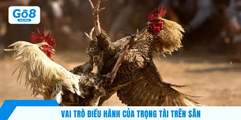 Vai trò điều hành của trọng tài trên sân